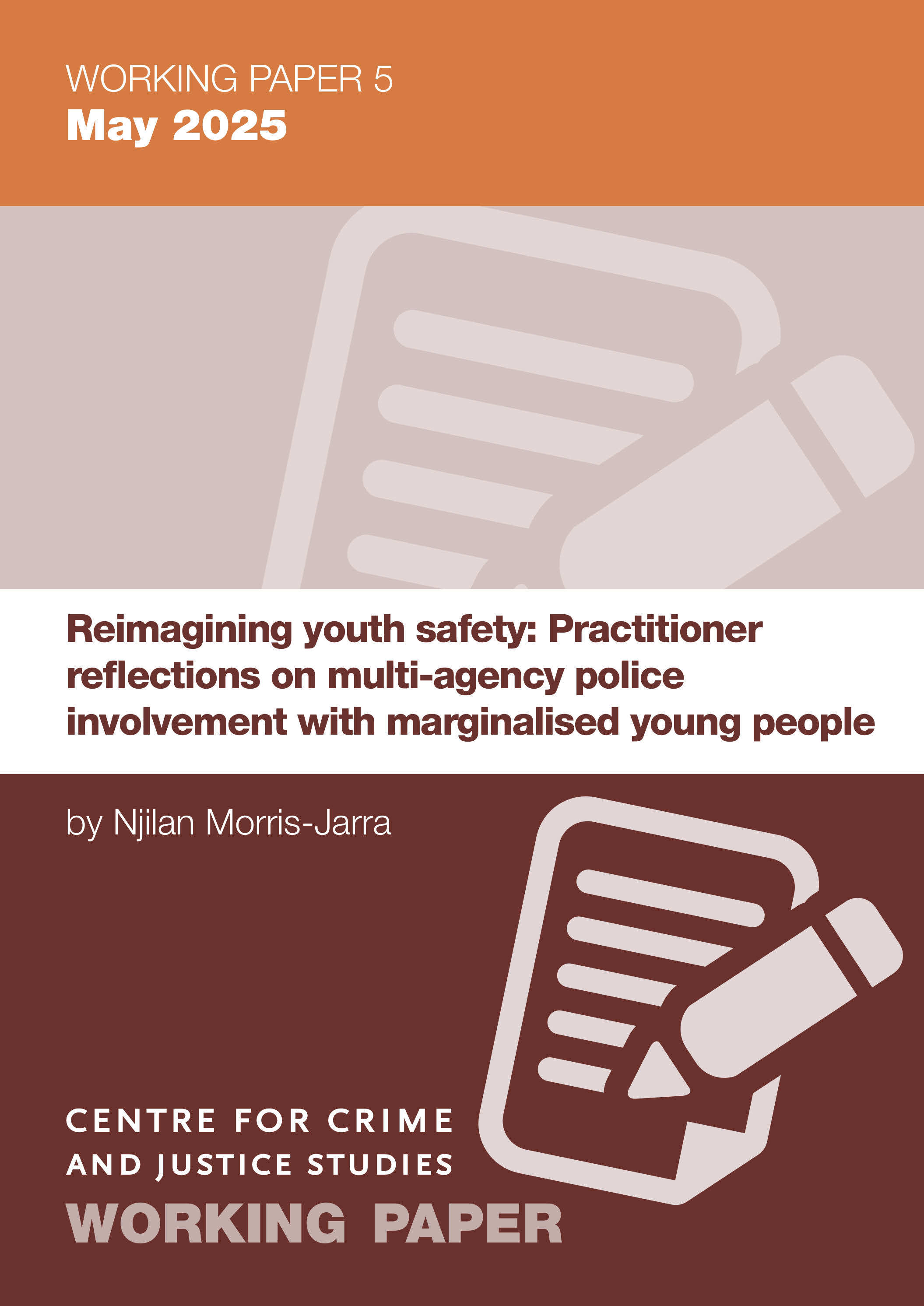 Reimagining youth safety Working Paper cover