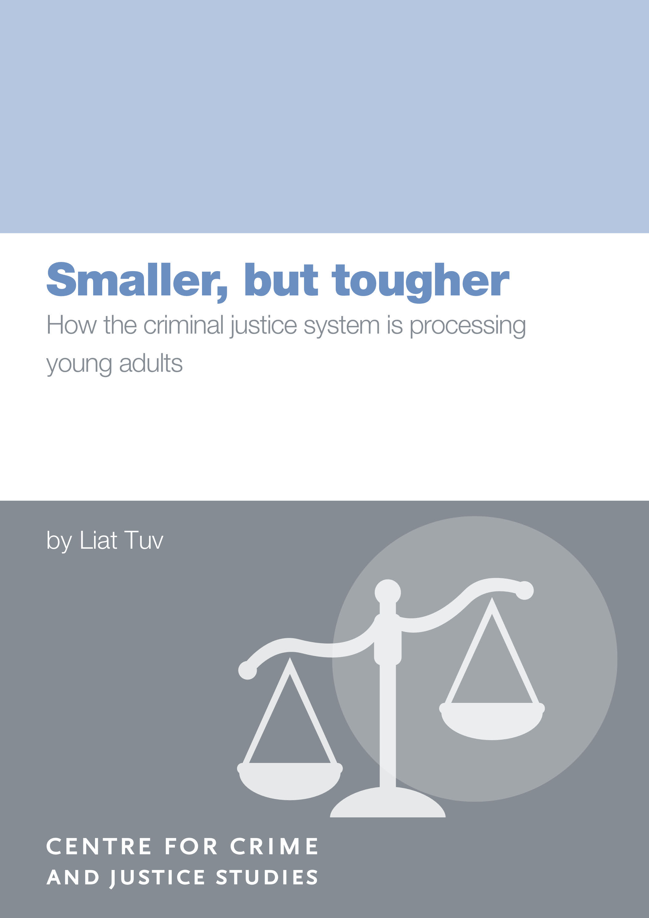 CCJS Young Adult report cover