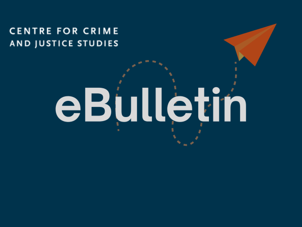 Bulletin image paper planes 2