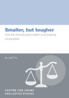 CCJS Young Adult report cover